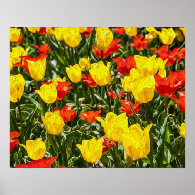 Poster Tulipas Vermelhas e Amarelas (Frente)