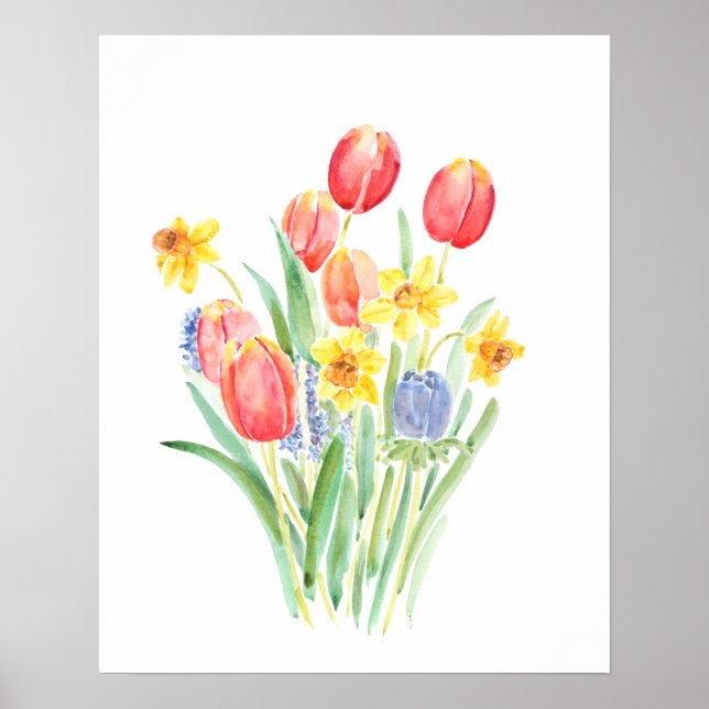 Poster tulipas vermelhas e daffodils amarelas (Frente)