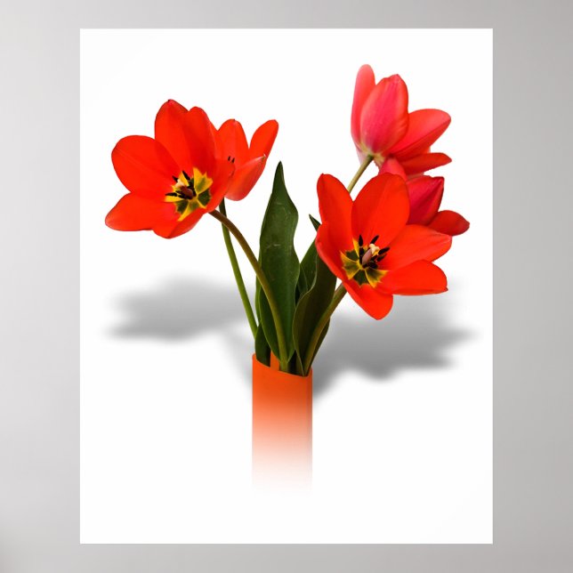Poster Tulipas Vermelhas em Vase (Frente)