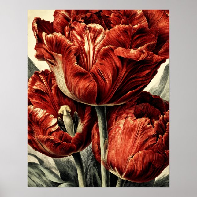 Poster Tulipas vermelhas holandesas (Frente)