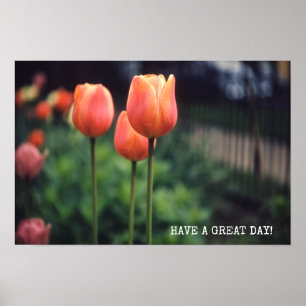 Póster Tulips Floral Tulips Garden Primavera