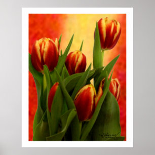 Póster Tulips - jGibney 2010 The MUSEUM Zazzle Gifts