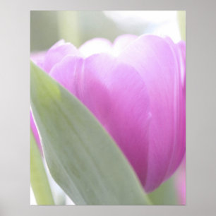 Póster Tulips, Keukenhoff Gardens, Países Baixos.2