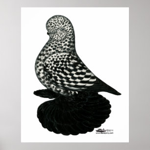 Poster Tumbler2 falhado respingo