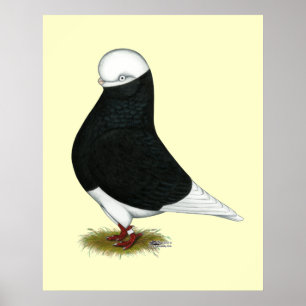 Póster Tumbler: CL calvo preto