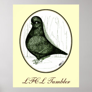 Poster Tumbler: LFCL A Partir De 1978
