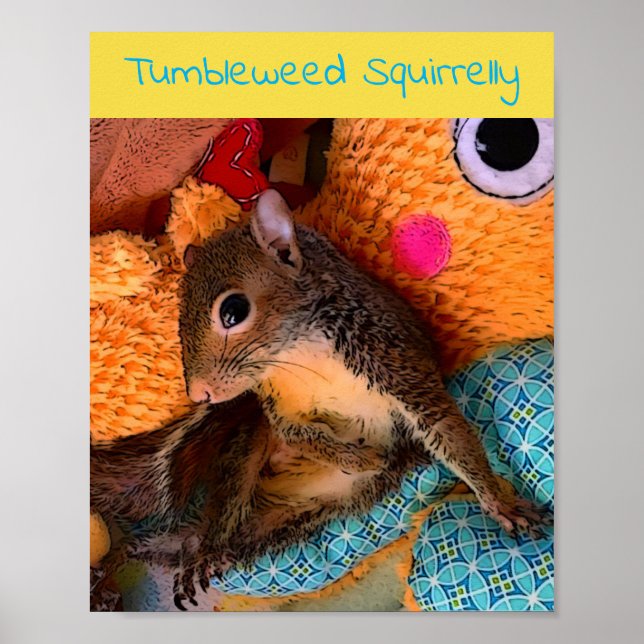 Poster Tumbleweed (Frente)