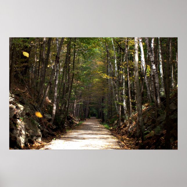 Póster Tumbling Leaves (Frente)