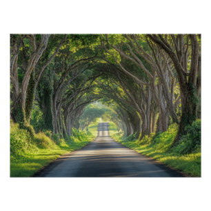 Póster Túnel de Árvores Arte de Parede Fotografia Kauai