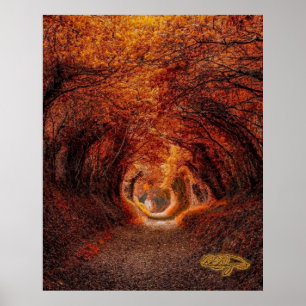 Poster Túnel de árvores - Uma luz no final do túnel