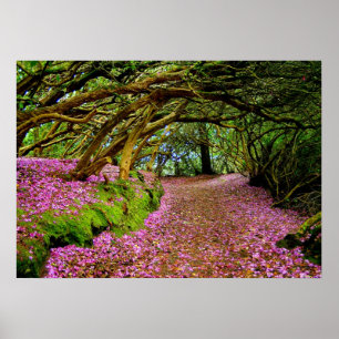Póster Túnel do rododendro de Kenmare -… - Personaliza