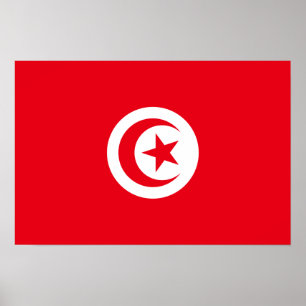 Poster Tunísia - bandeira tunisina