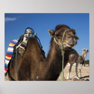 Póster Tunísia, Deserto Do Saara, Douz, Zone Touristique