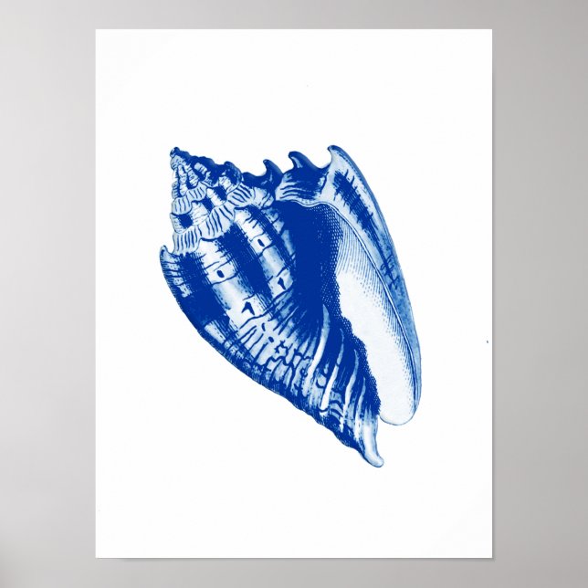 Póster Turban Conch Shell, Indigo Azul e Branco (Frente)