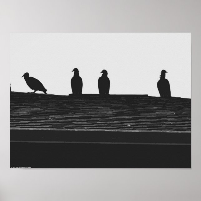 Poster Turco-abutre, (Frente)