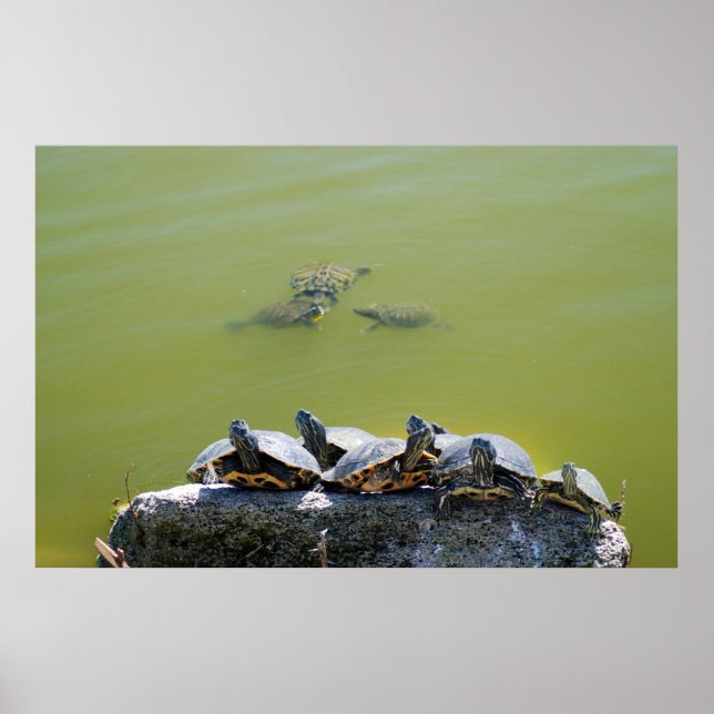 Póster turfa (Frente)