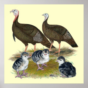 Póster Turkeys East Wild Family
