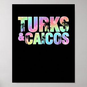 Poster Turks e Caicos Palm Trees Souvenir