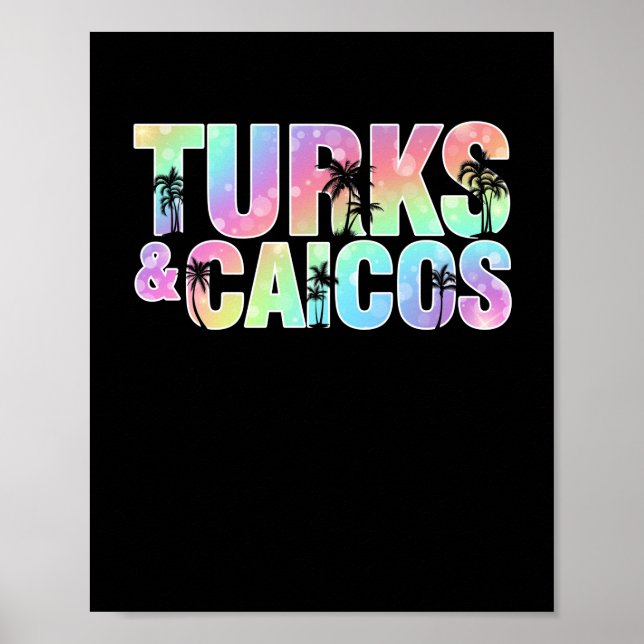 Poster Turks e Caicos Palm Trees Souvenir (Frente)