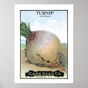 Poster Turnip Vintage Seed Packet