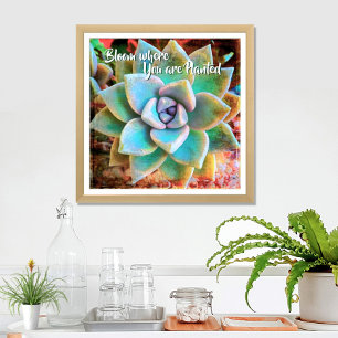 Poster Turquesa Green Cactus Photo Bloom Onde Plantado