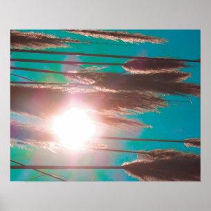 Poster “TurquoiseMidday "