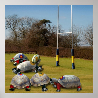 Póster Turtle Rugby