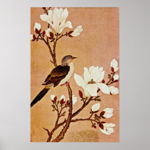 Poster Turtledove branca no Ramo de Flor, Chiang T ing