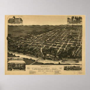 Póster Tuscaloosa Alabama 1887 mapas panorâmicos