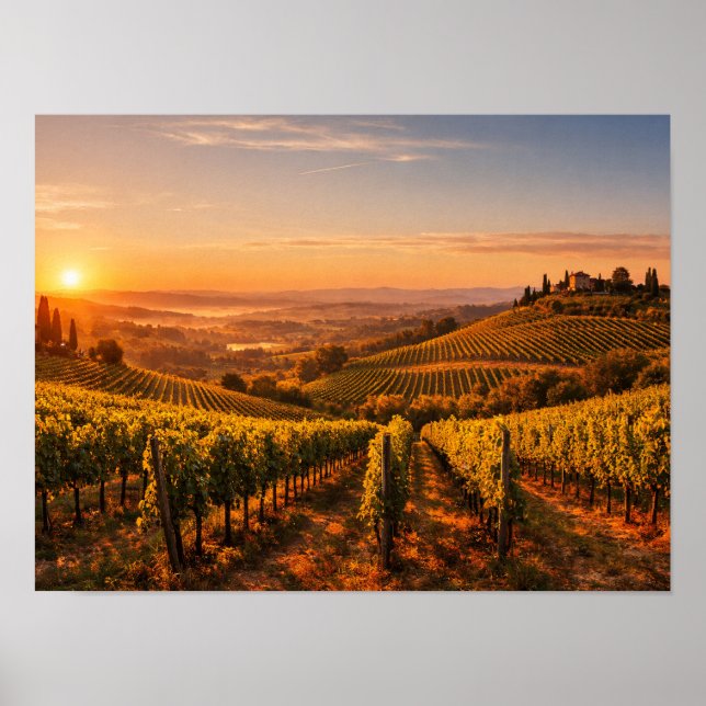 Poster Tuscany Vineyard at Sunset Landscape (Frente)