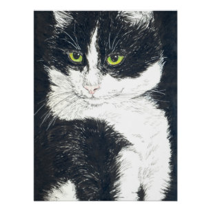 Póster Tuxedo cat