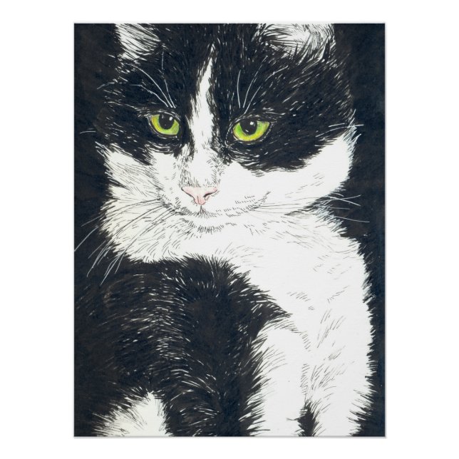 Póster Tuxedo cat (Frente)