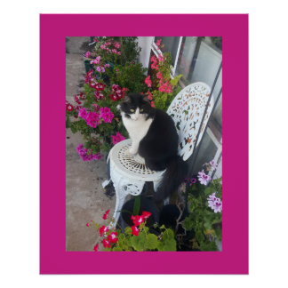 Póster Tuxedo Cat Maroon Dark Pink Cats and Flowers
