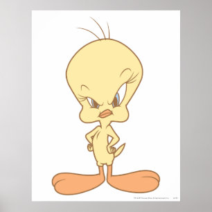 Poster Tweety Angry