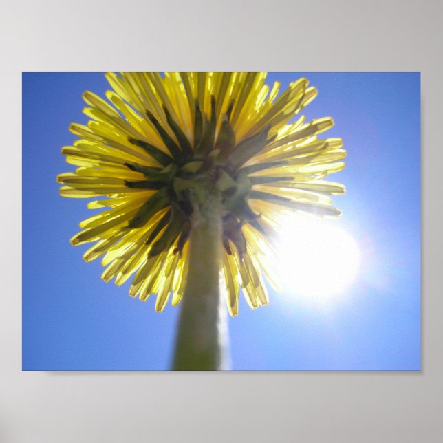 Poster Twin Suns (Frente)