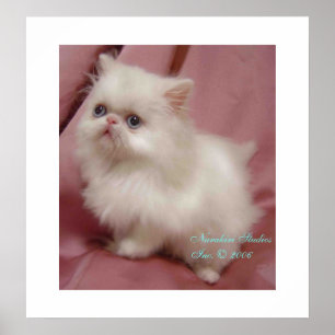 POSTER TWINKLE PEQUENA ESTRELA