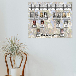 Poster Two Family Trees on White Blossoms Photo    