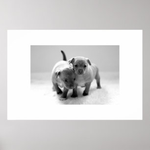 Póster Two For One