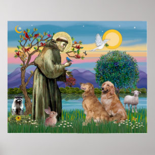 Poster Two Golden Retrievers