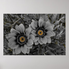 Poster Two of a Kind