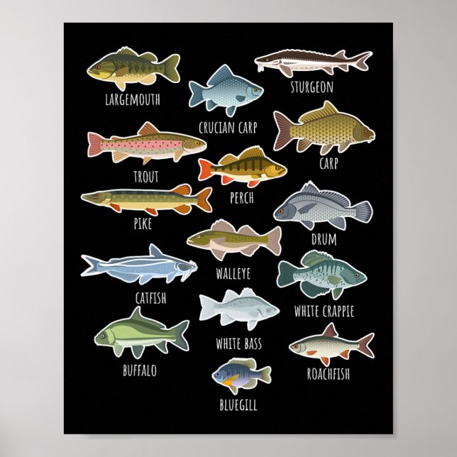 Poster Types Of Freshwater Fish Species Fishing  (Frente)