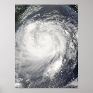 Poster Typhoon Haitang