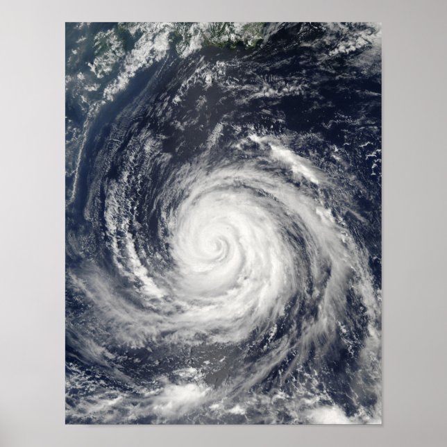 Póster Typhoon Rusa (Frente)