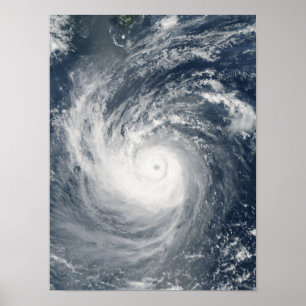 Póster Typhoon Taim