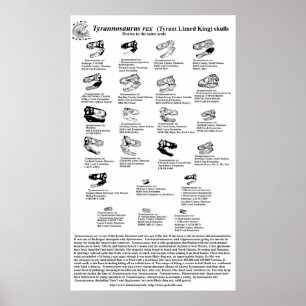 Póster Tyrannosaurus rex
