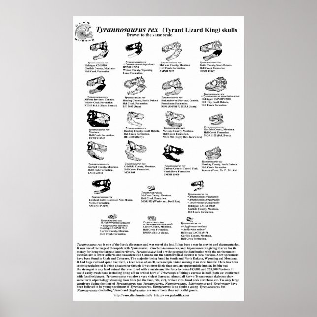Póster Tyrannosaurus rex (Frente)