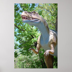 Poster Tyrannosaurus T-Rex Dinossaur