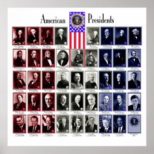 PÓSTER U.S.A. PRESIDENTES BRANCO C/566