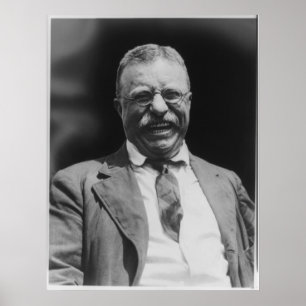 Póster U.S. Riso do presidente Theodore Teddy Roosevelt