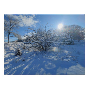 Póster Uau é o Inverno do Conteúdo do Artista